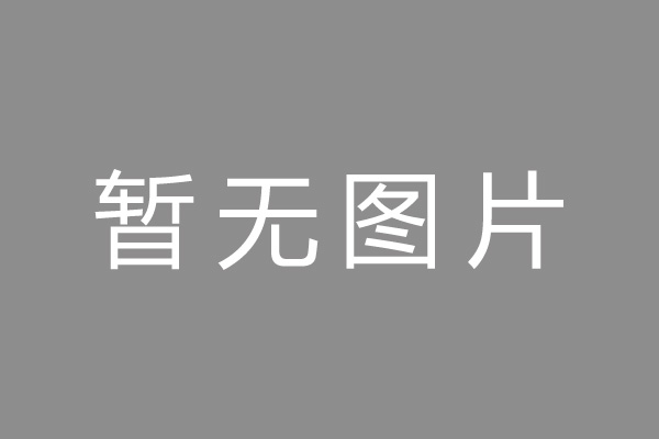 上海小编推荐：政务数据助力风控 线上信用贷“质变”
